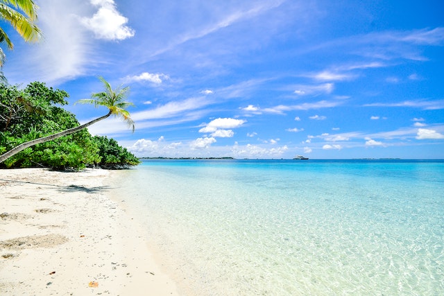 empty white sandy beach with palm trees